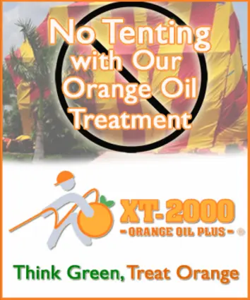 No tenting with our orange oil treatment.