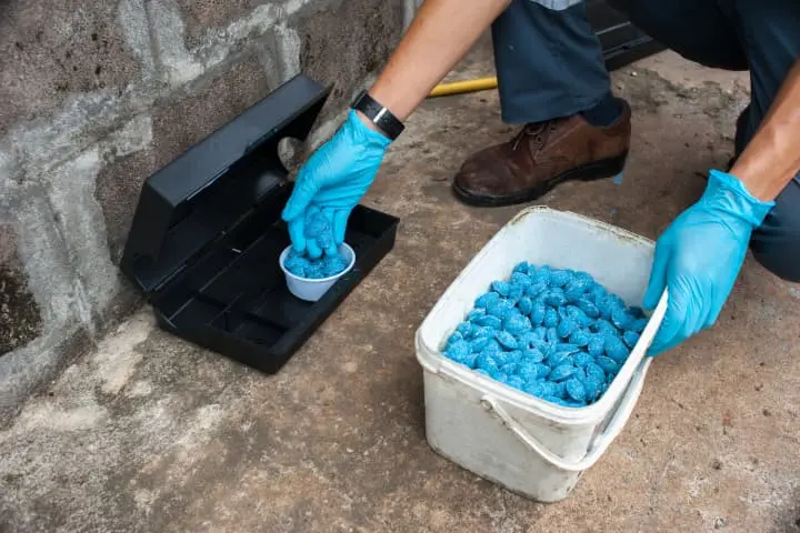 A man in blue gloves is putting blue balls into a bucket.