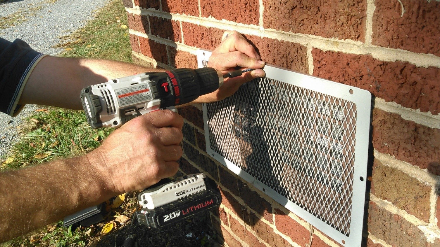 How Much Does Rodent Exclusion Cost? - Pinnacle Pest Control