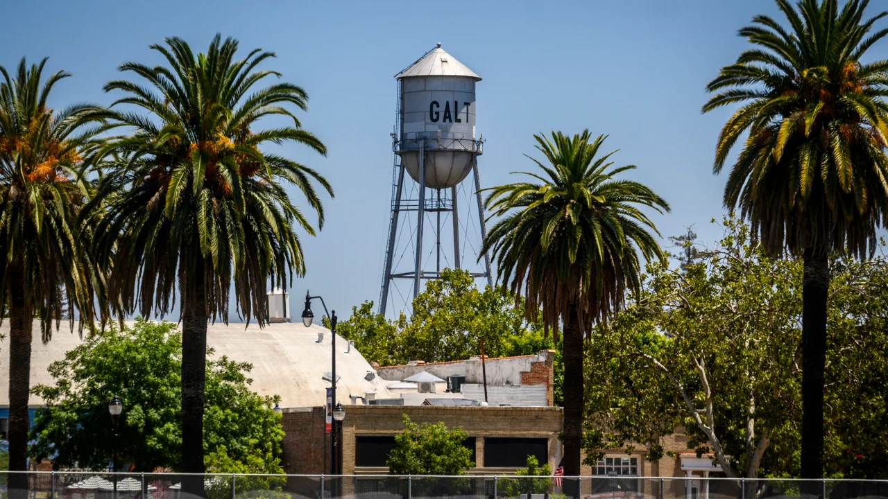 pest control in Galt, CA - Pinnacle Pest