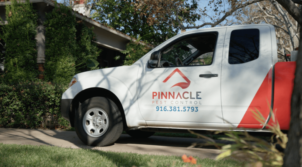 professional pest control workers truck 