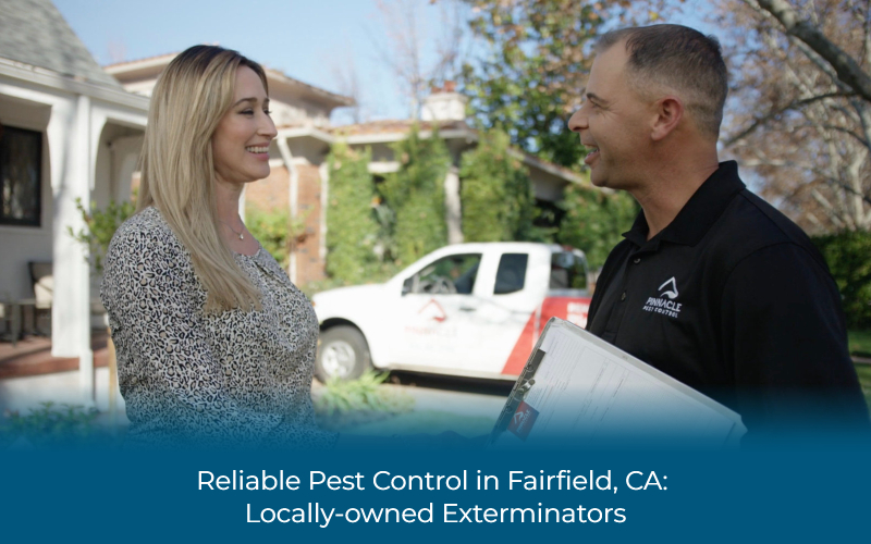 Reliable Pest Control in Fairfield, CA: Locally-owned Exterminators