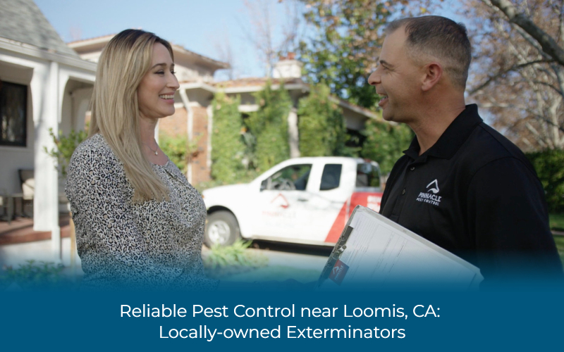 Reliable Pest Control near Loomis, CA
: Locally-owned Exterminators
