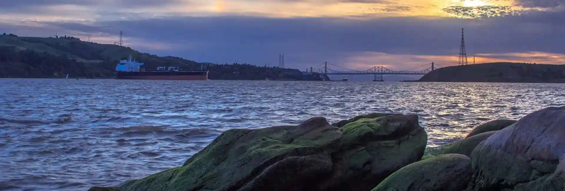 benicia pest control