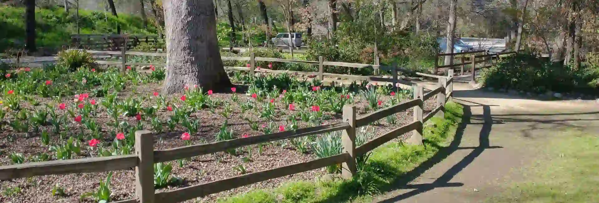 pest control carmichael