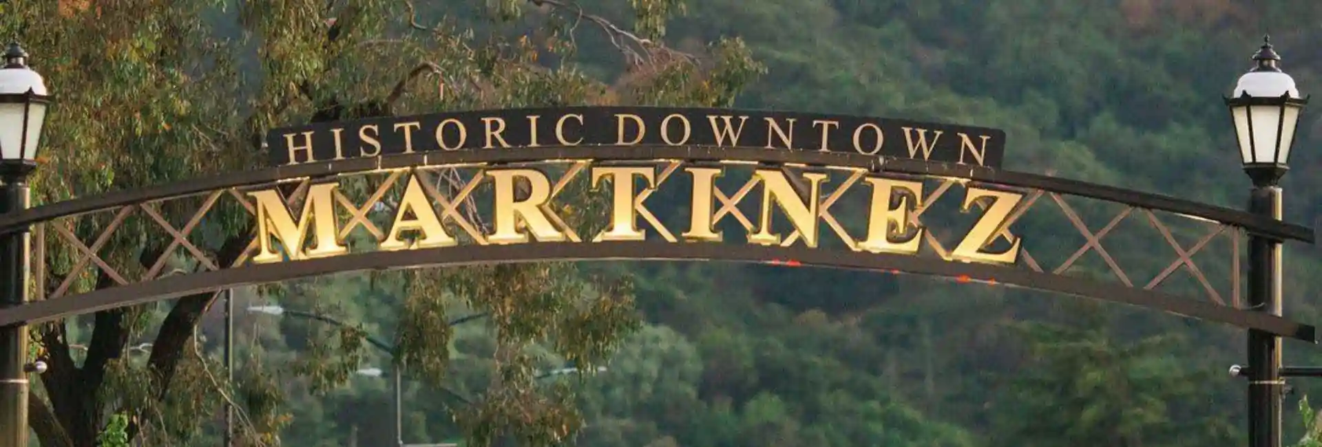 martinez pest control