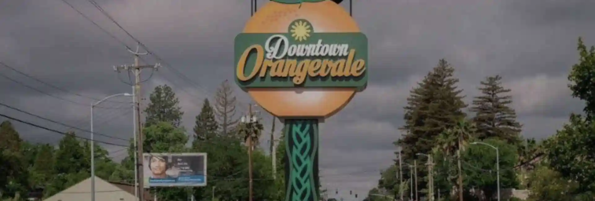 orangevale pest control