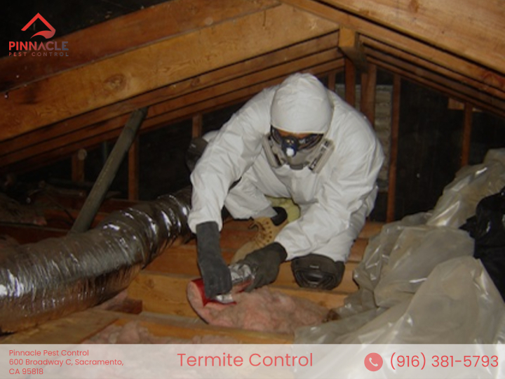 Pinnacle Pest Control professional pest termite control technician.