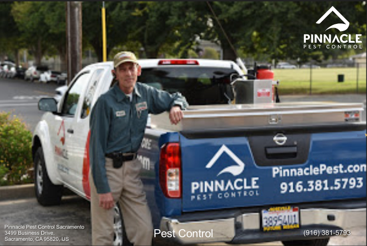 Pinnacle Pest Control professional pest control technician