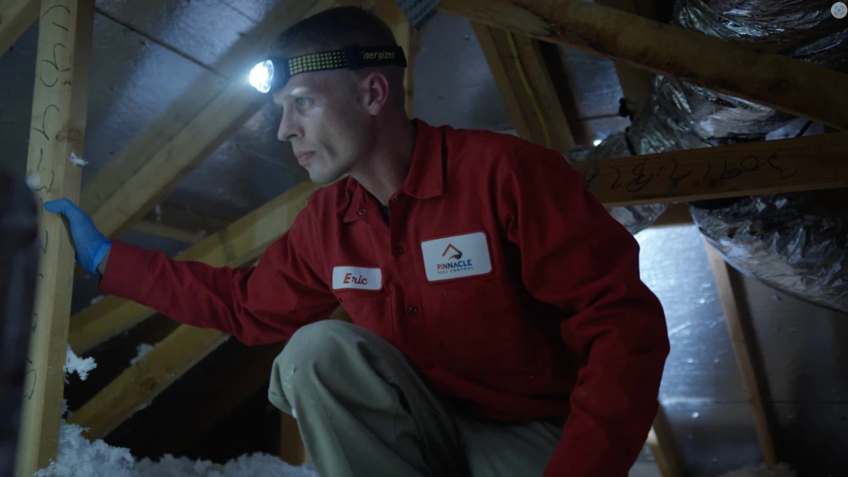 A man in a red jacket is working on insulation in an attic.