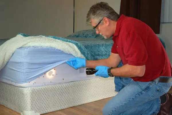 Pinnacle Pest Control technician inspecting a mattress for bed bugs during a Sacramento home bed bug treatment