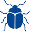 Front-facing blue beetle illustration with segmented body and legs