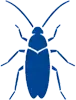 Blue beetle-like insect illustration with six legs and long antennae on a gray background.