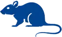 Rodent Control