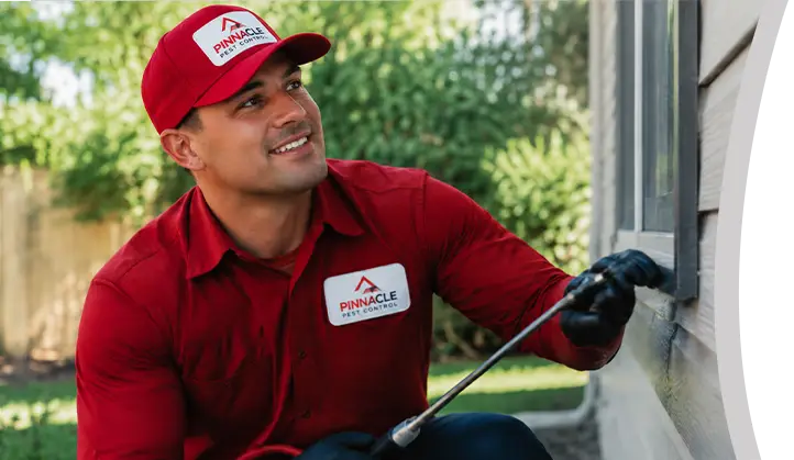 Pest Control Service